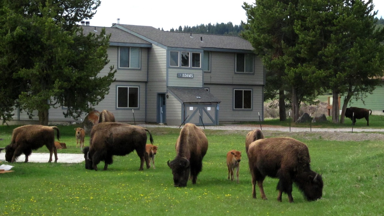 Photo of Outdoor in Horse Butte