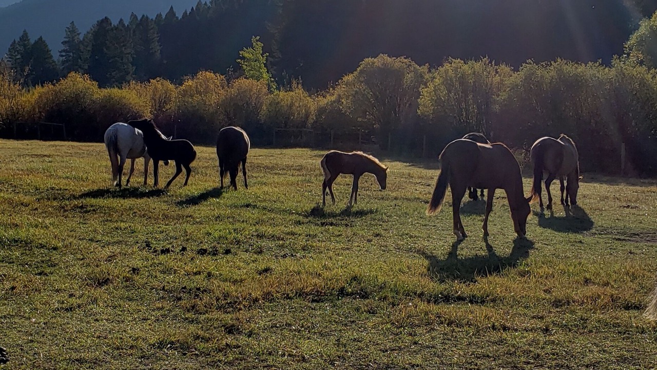 Photo of Outdoor in Helena