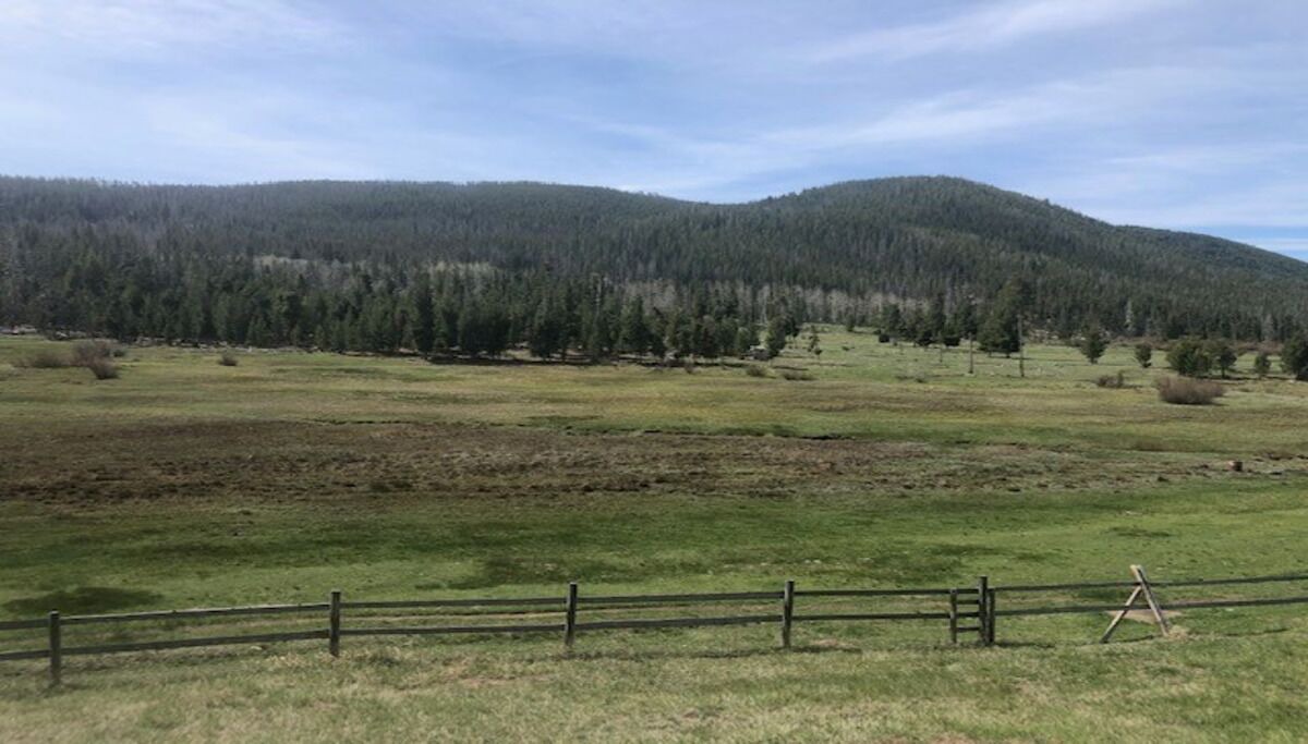 Photo of Outdoor in Butte