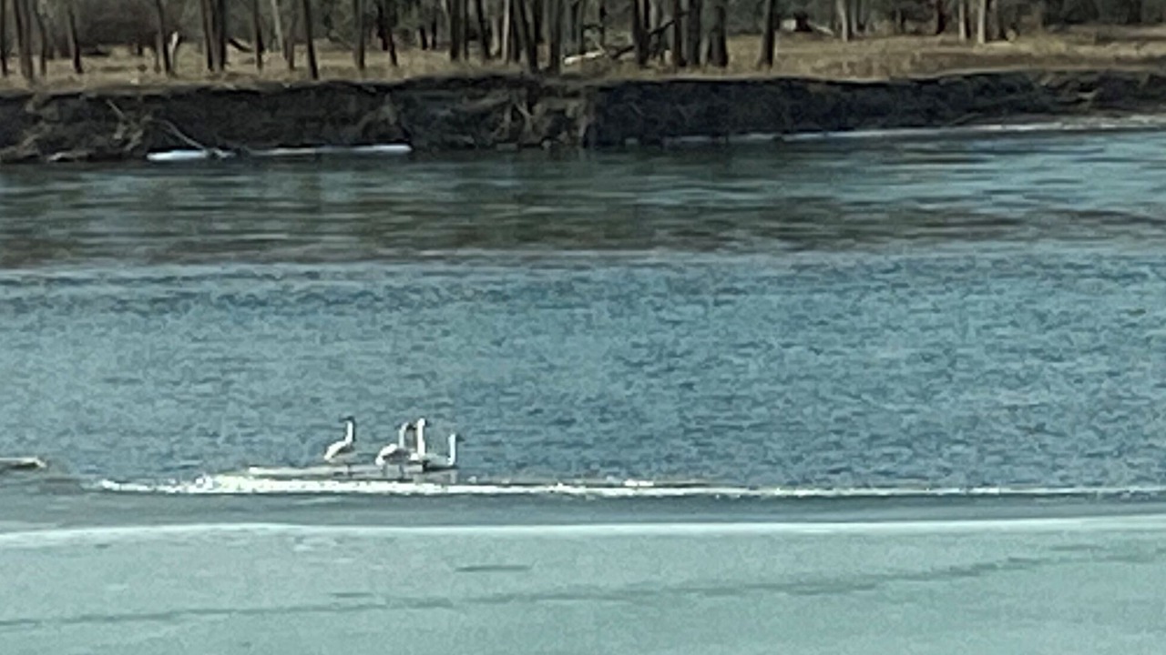 Photo of Others in Plains