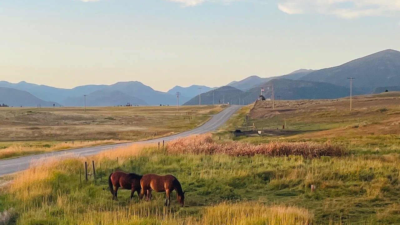 Photo of Others in Ovando