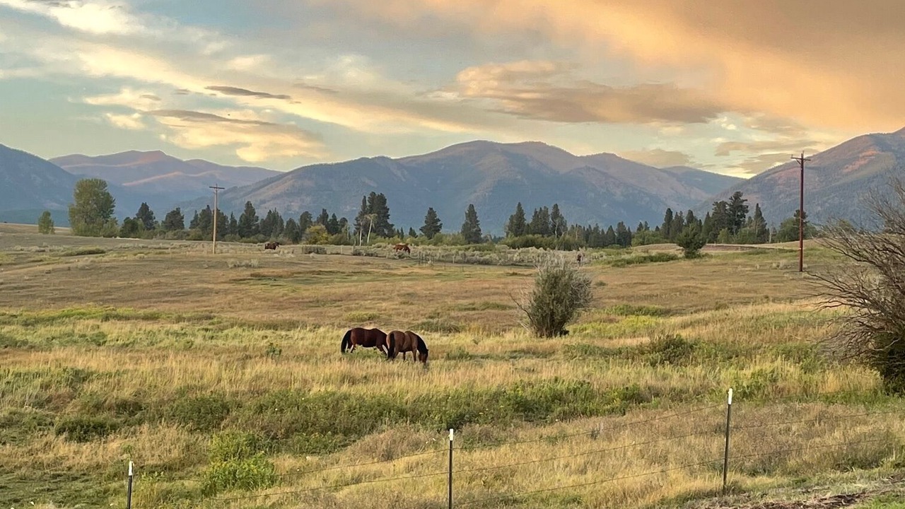 Photo of Outdoor in Ovando