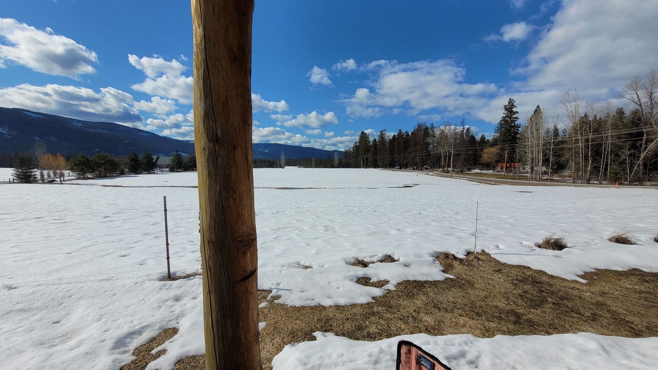 Photo of Others in Trout Creek
