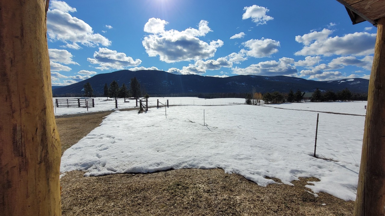 Photo of Others in Trout Creek