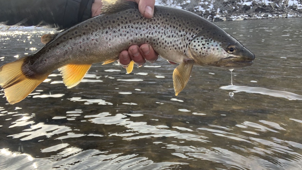 Photo of Others in Glen