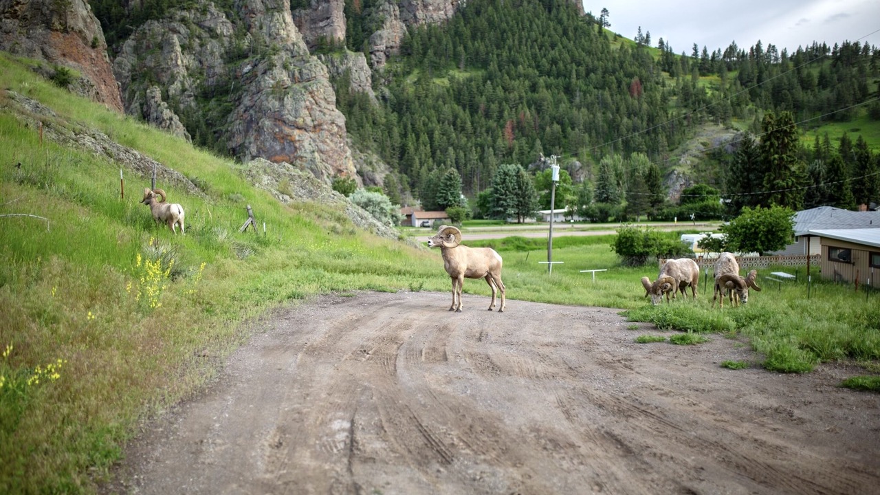 Photo of Others in Cascade