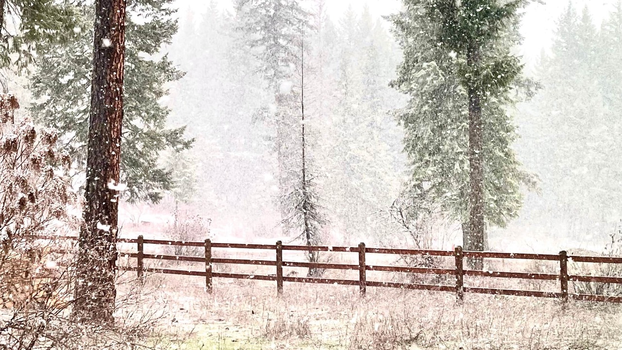 Photo of Others in Thompson Falls