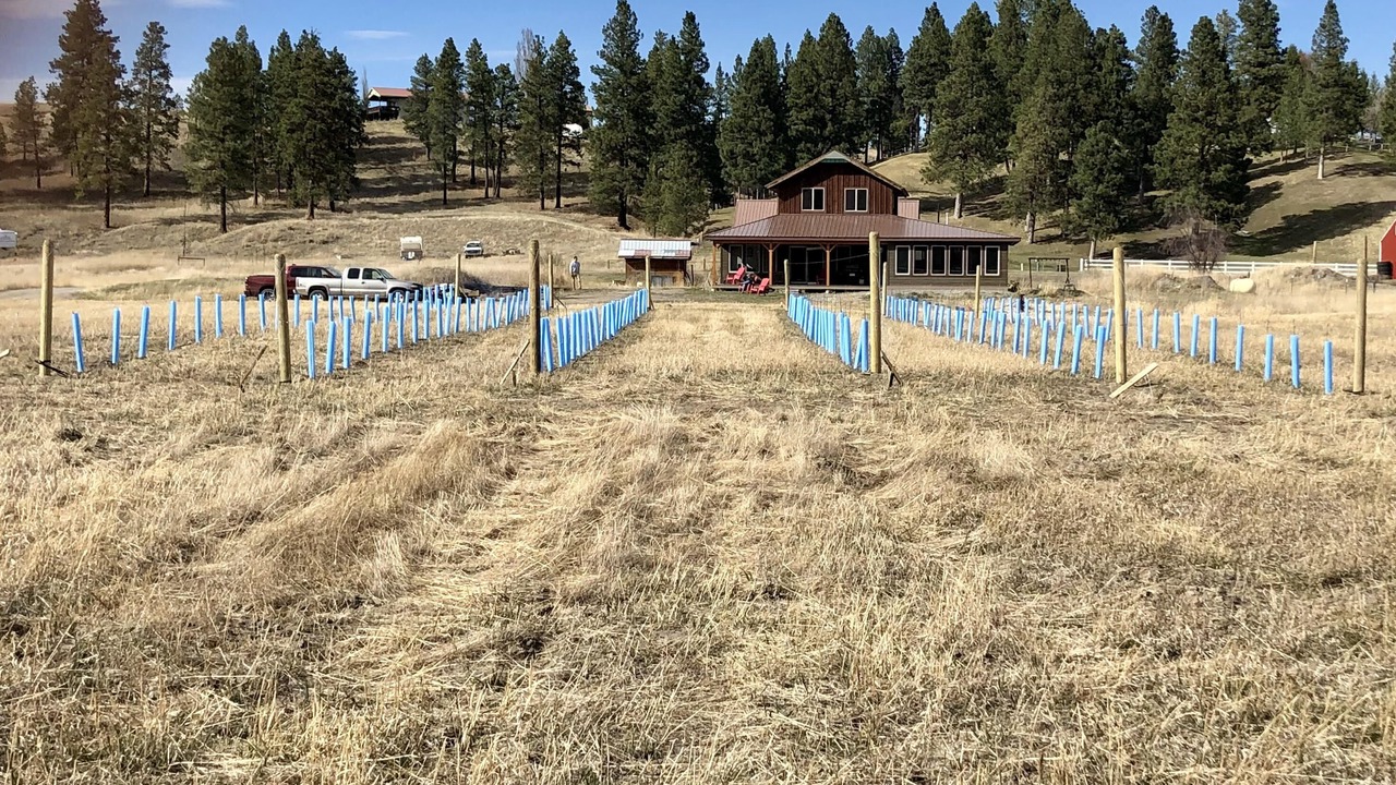 Photo of Outdoor in Lincoln County