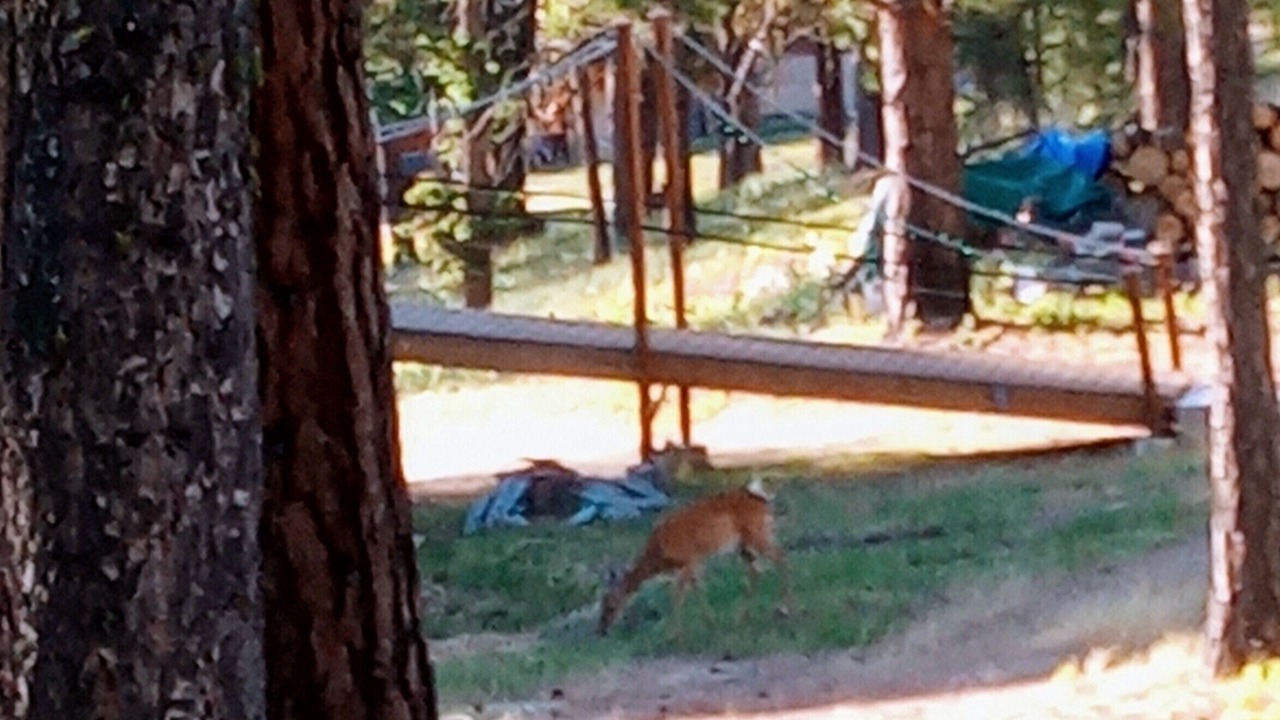 Photo of Others in Grantsdale