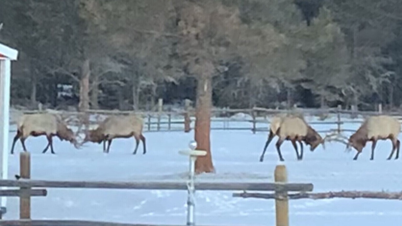 Photo of Outdoor in Golden Valley County