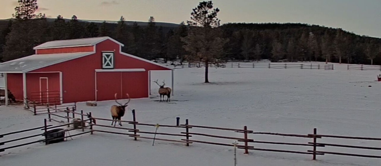 Photo of Others in Golden Valley County