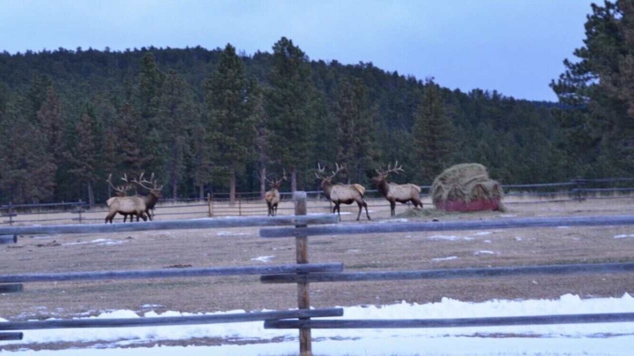 Photo of Others in Golden Valley County