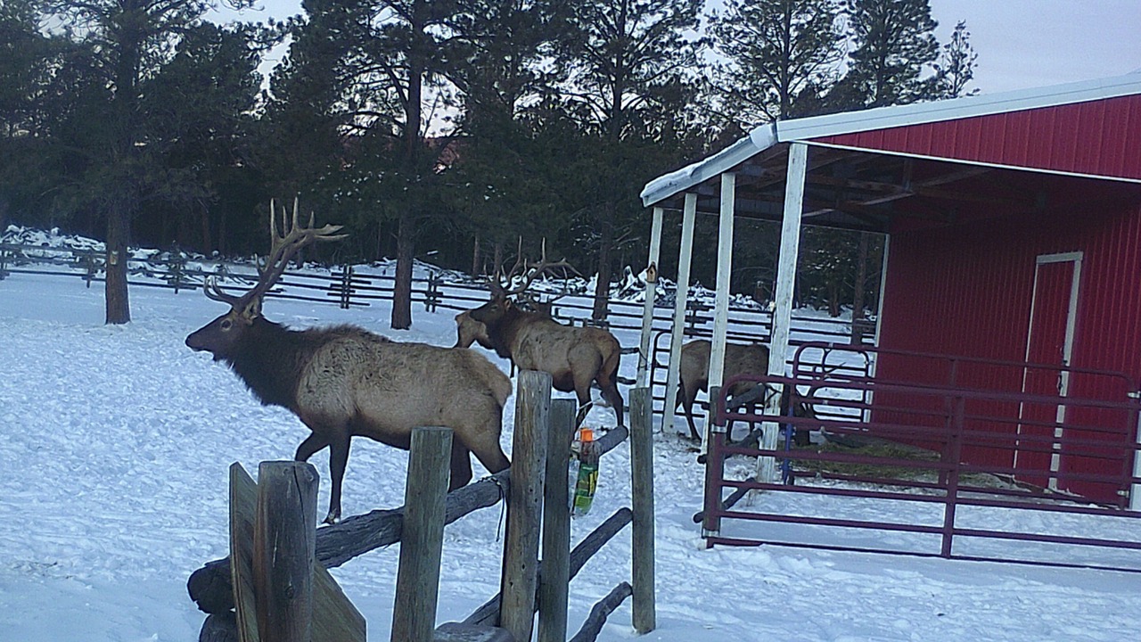 Photo of Others in Golden Valley County