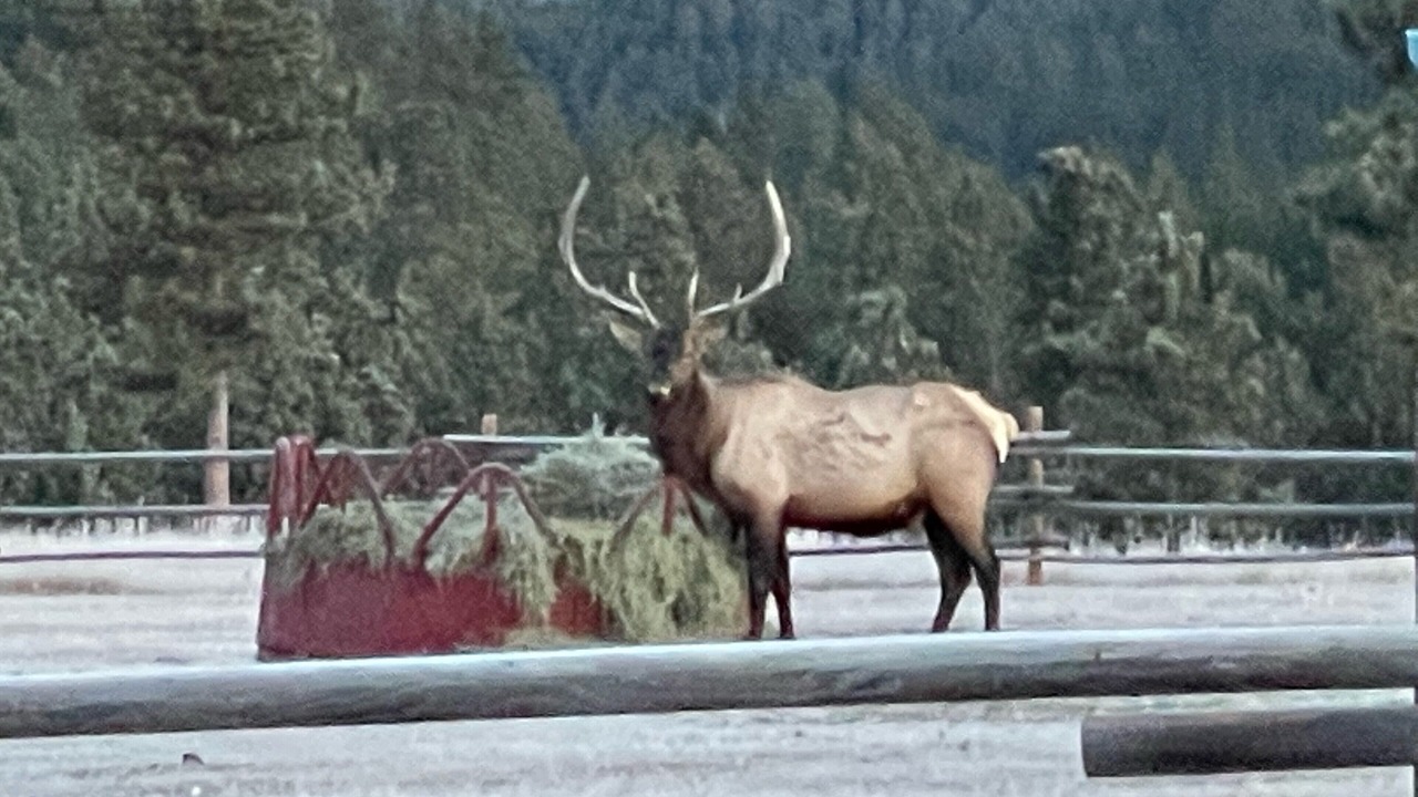 Photo of Others in Golden Valley County