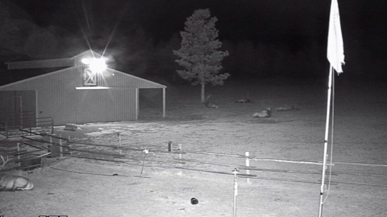 Photo of Outdoor in Golden Valley County