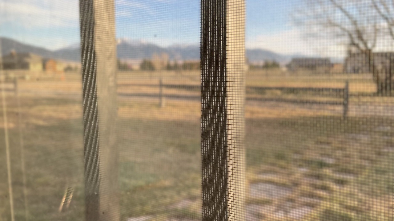 Photo of Outdoor in McAllister