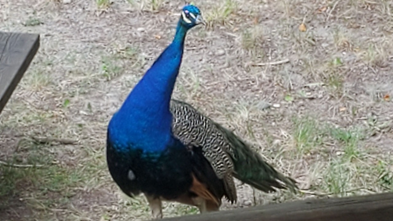 Photo of Others in Eureka