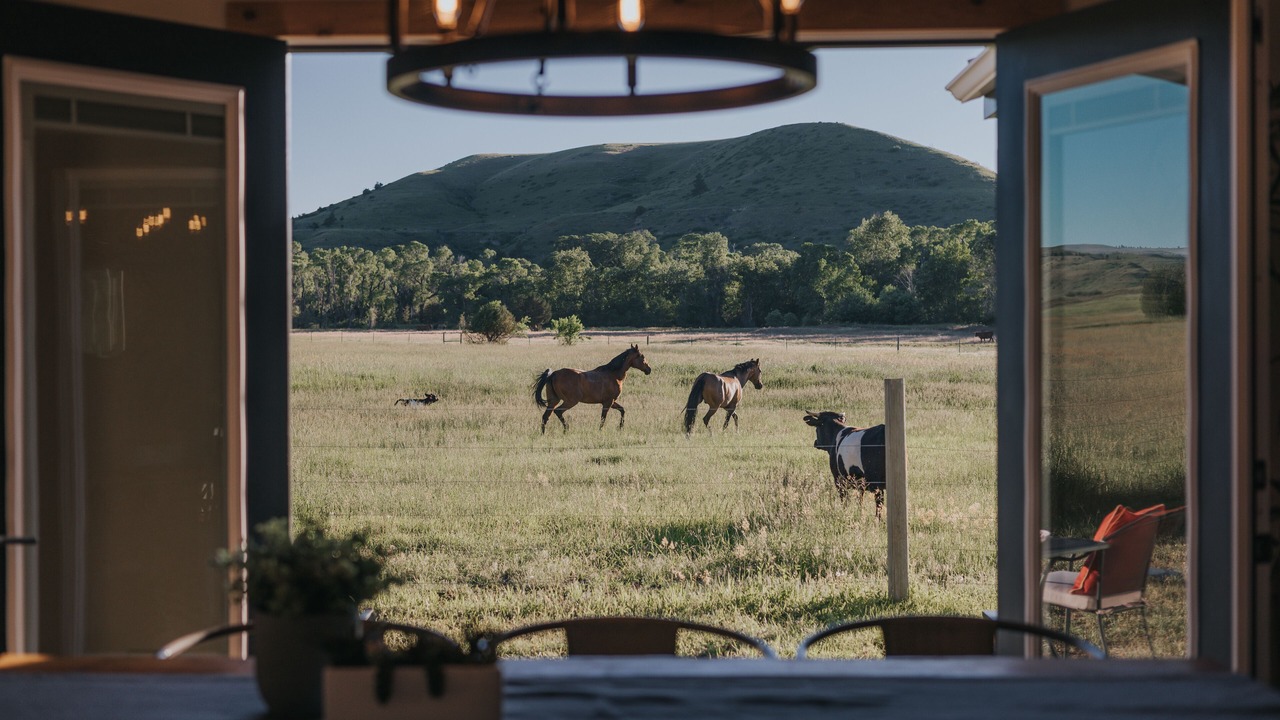 Photo of Others in Sweet Grass County