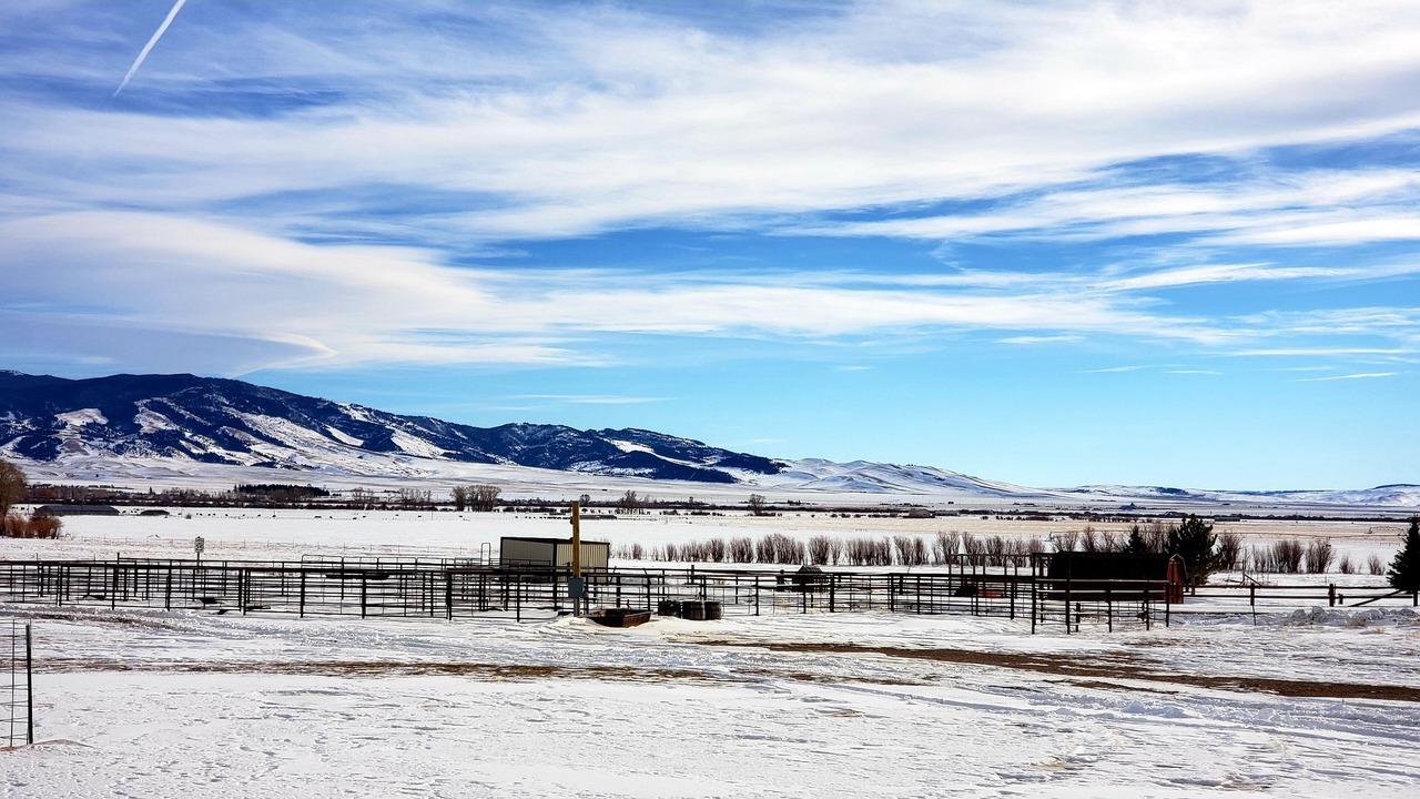 Photo of Outdoor in White Sulphur Springs