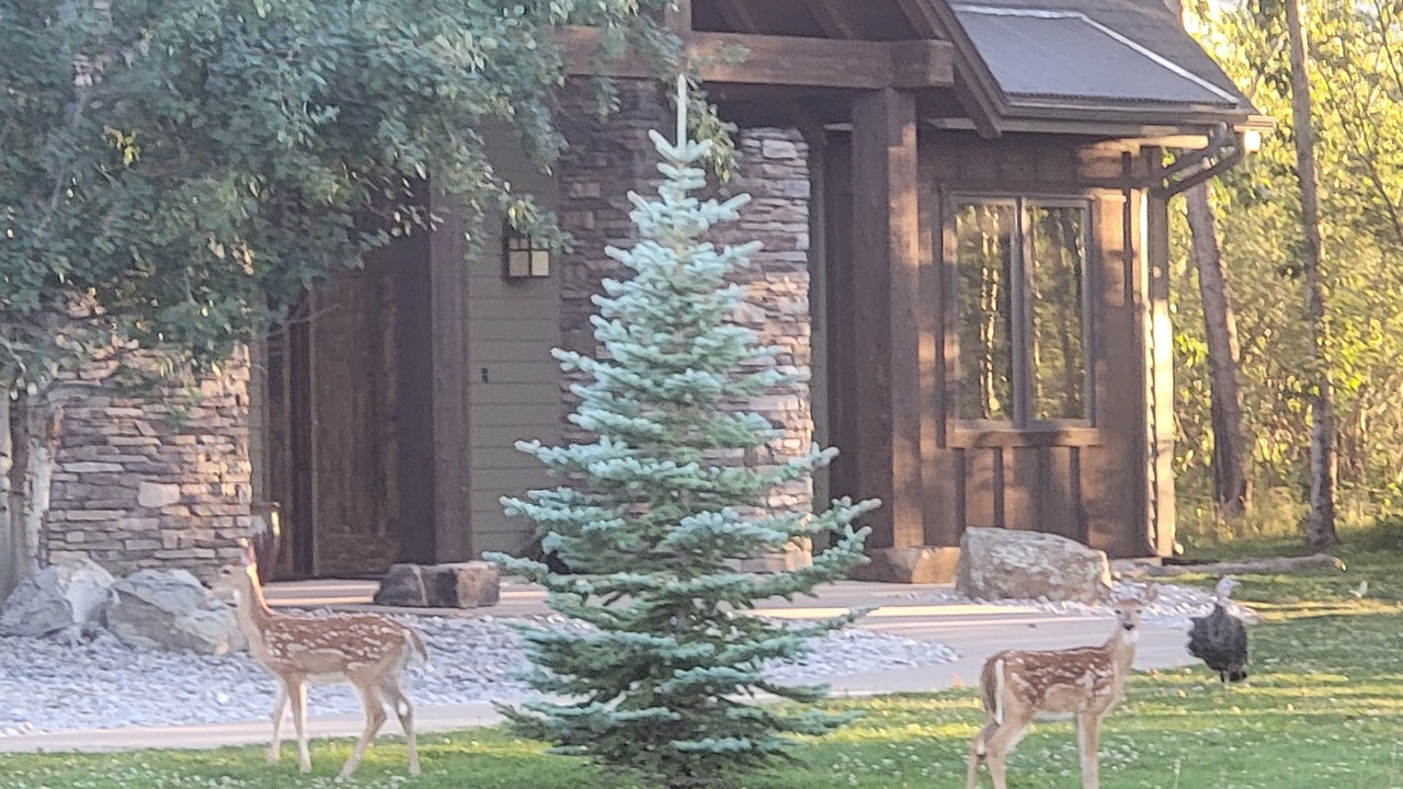 Photo of Others in Red Lodge