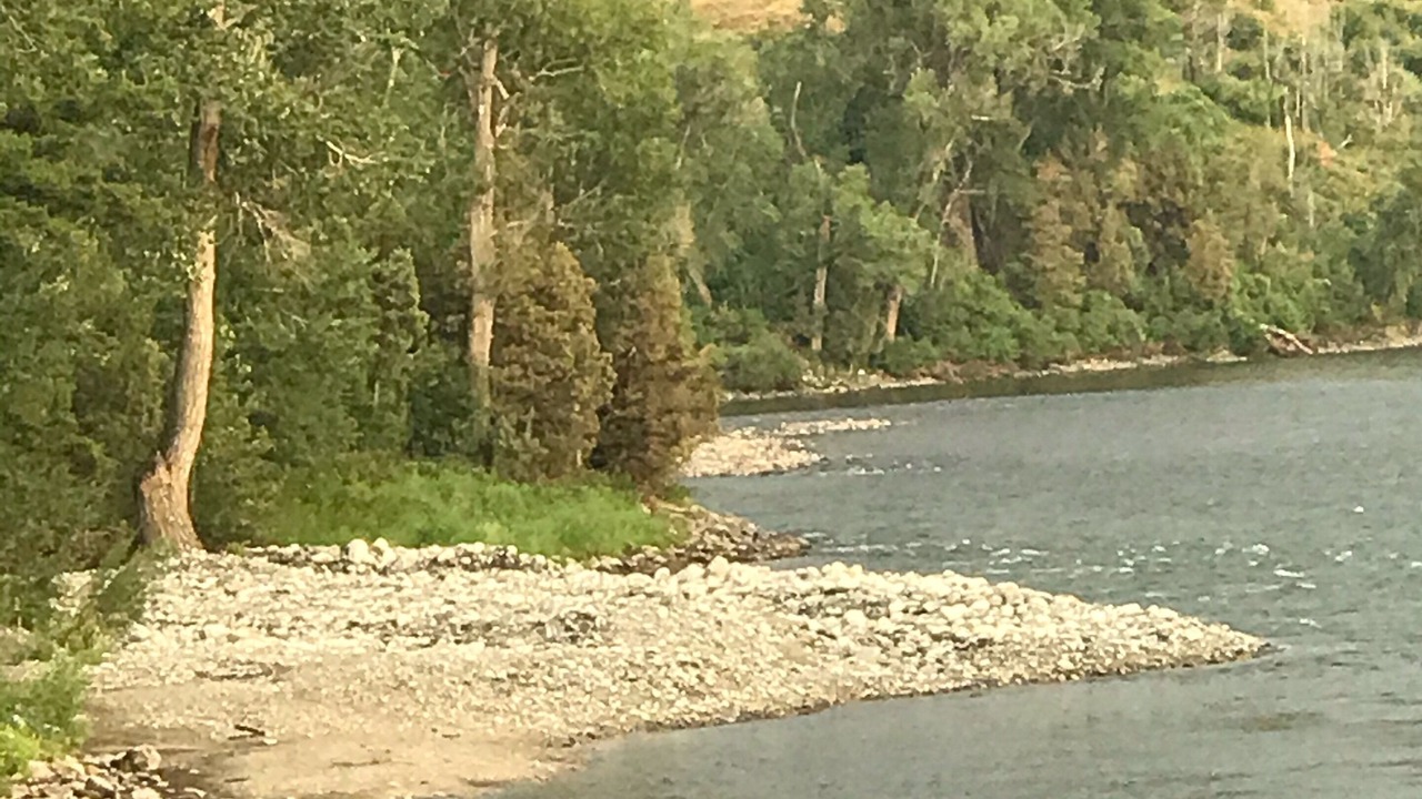 Photo of Others in Livingston