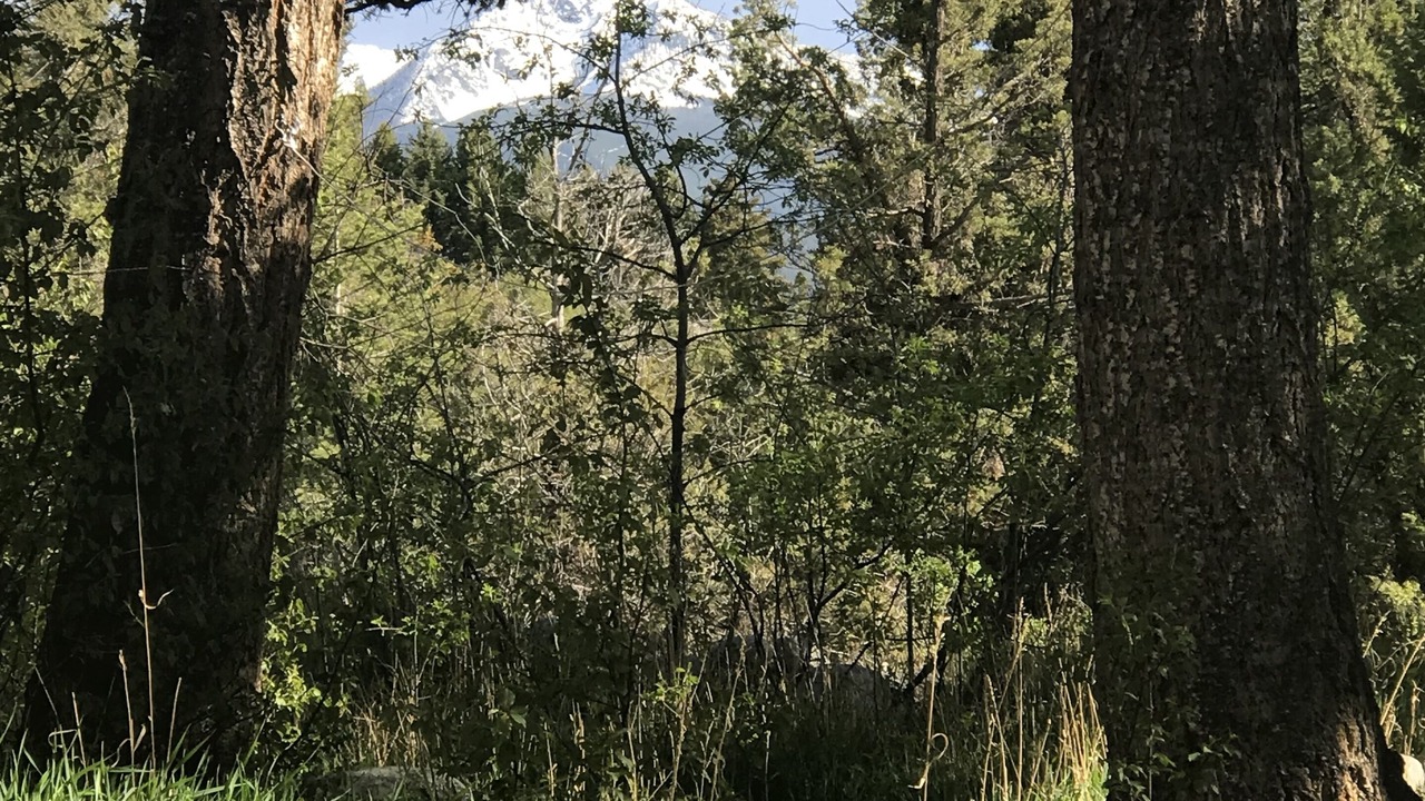Photo of Outdoor in Livingston