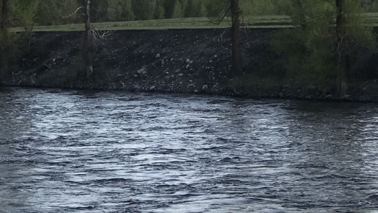 Photo of Others in Livingston