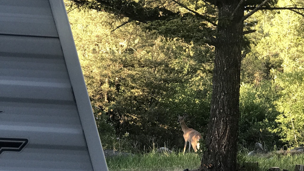 Photo of Outdoor in Livingston