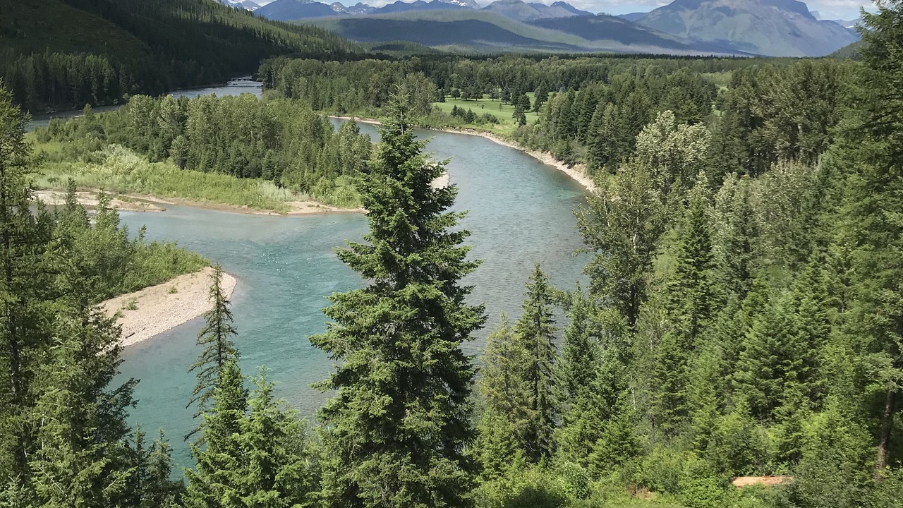 Photo of Others in West Glacier