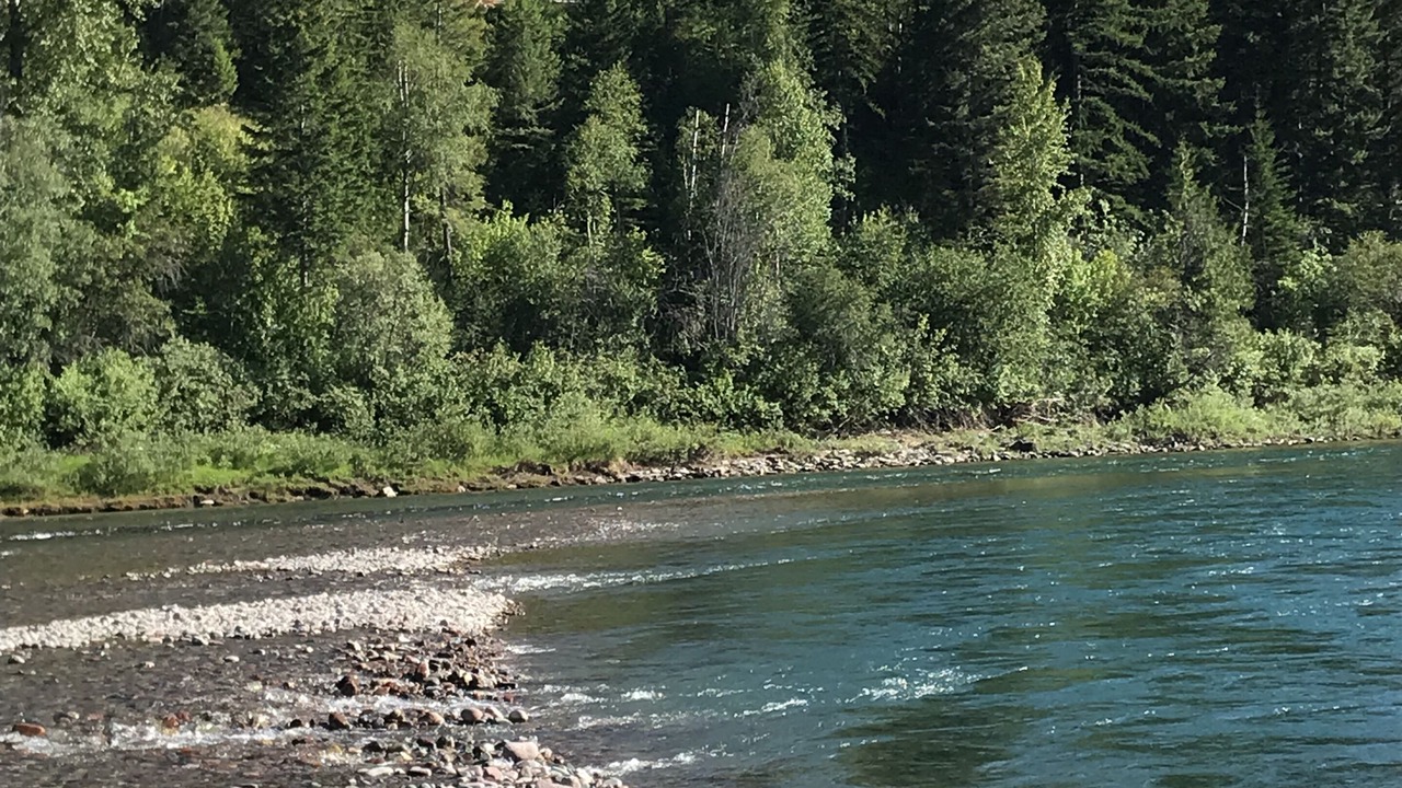 Photo of Others in West Glacier