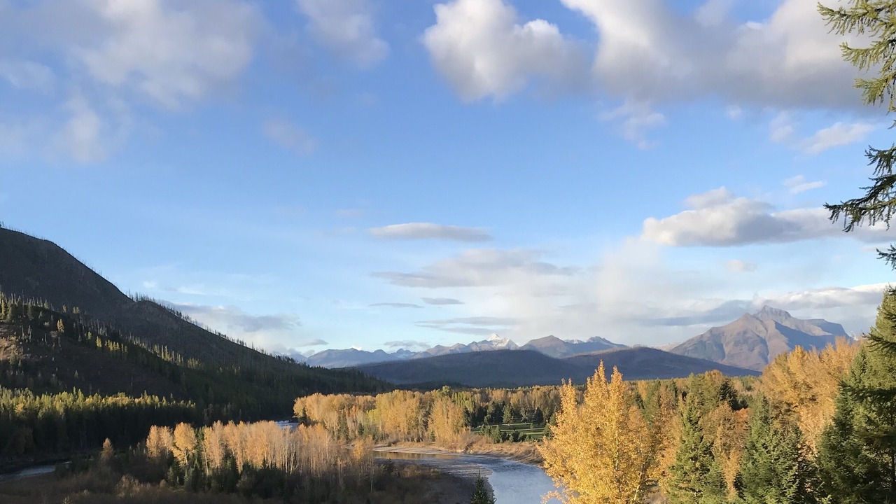 Photo of Others in West Glacier