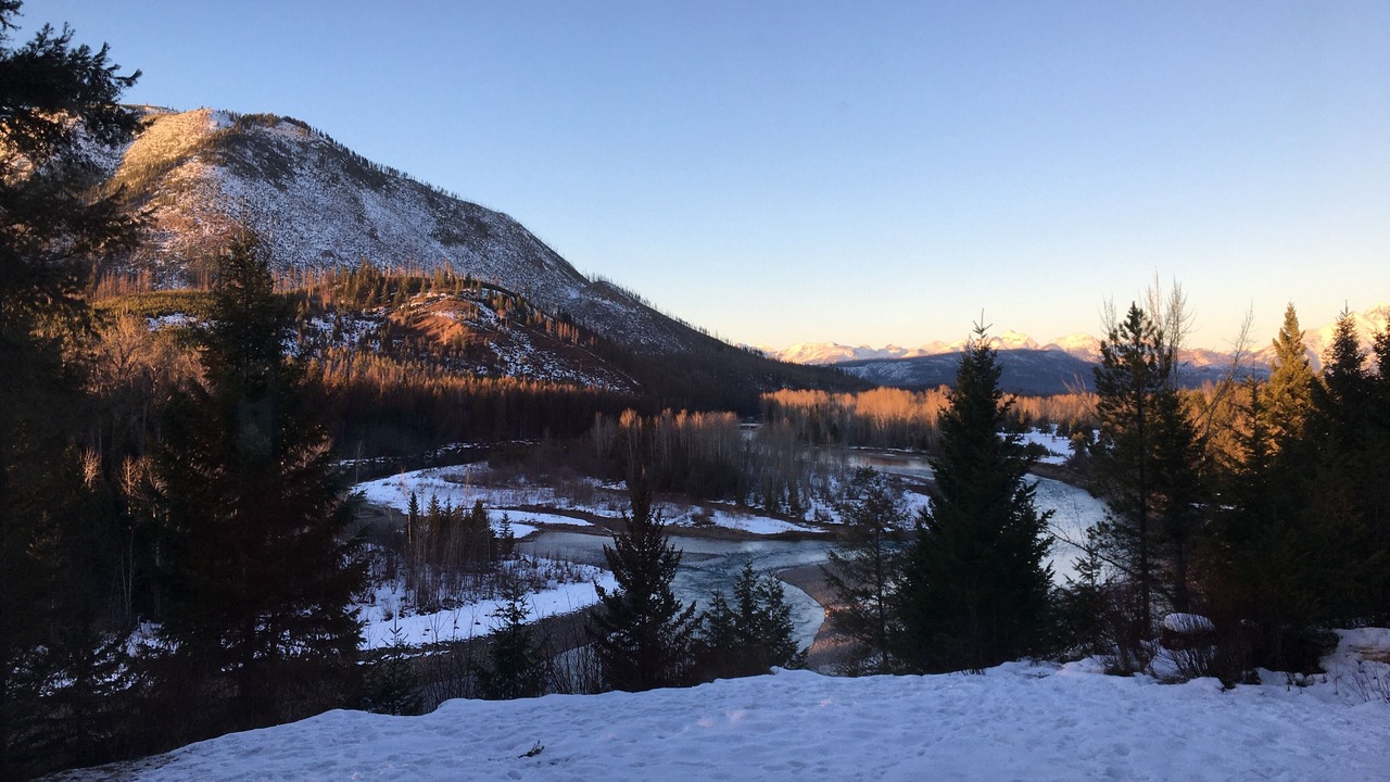 Photo of Others in West Glacier