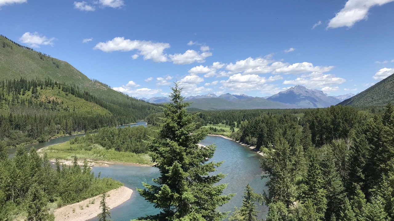 Photo of Others in West Glacier