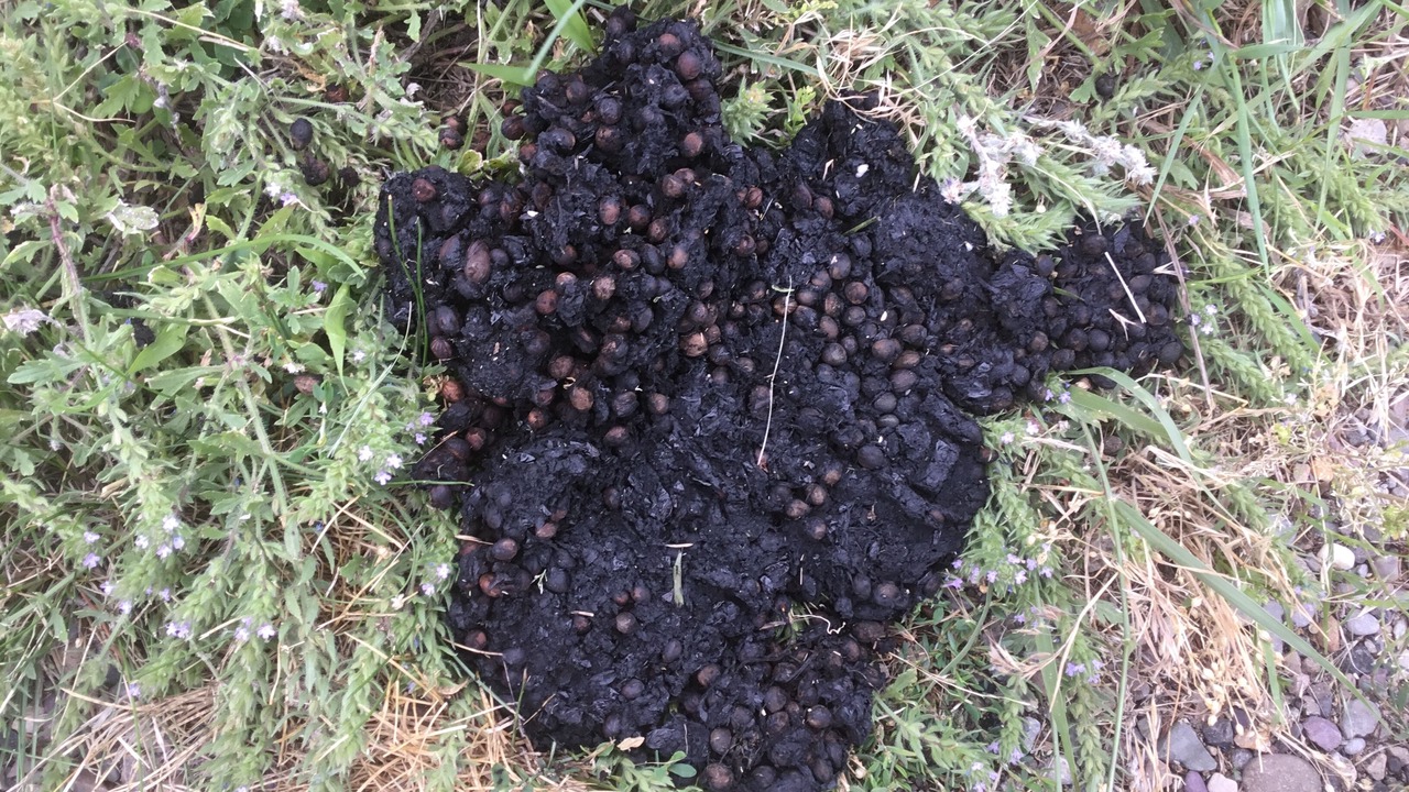 Photo of Outdoor in Cascade