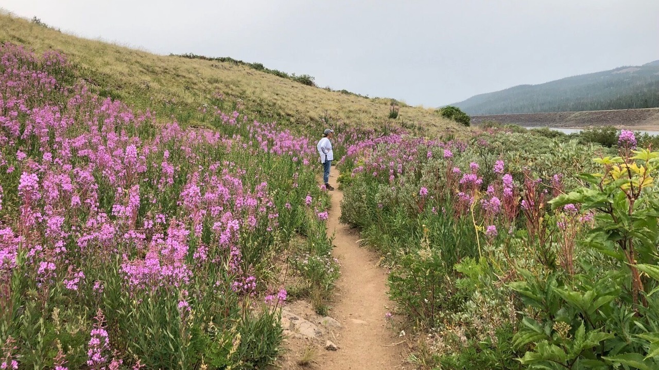 Photo of Outdoor in Yampa