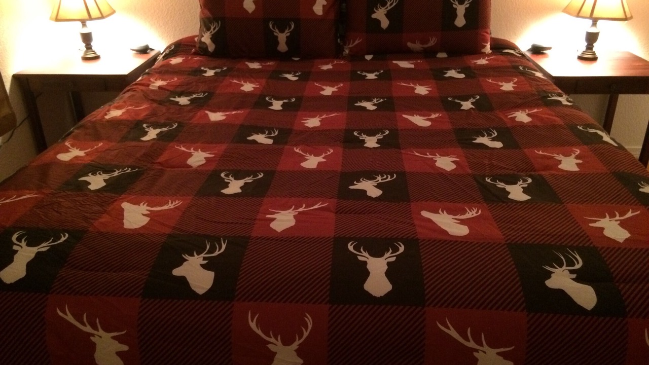 Photo of Bedroom in Wisdom