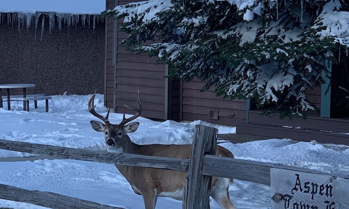 Photo of Outdoor in Red Lodge