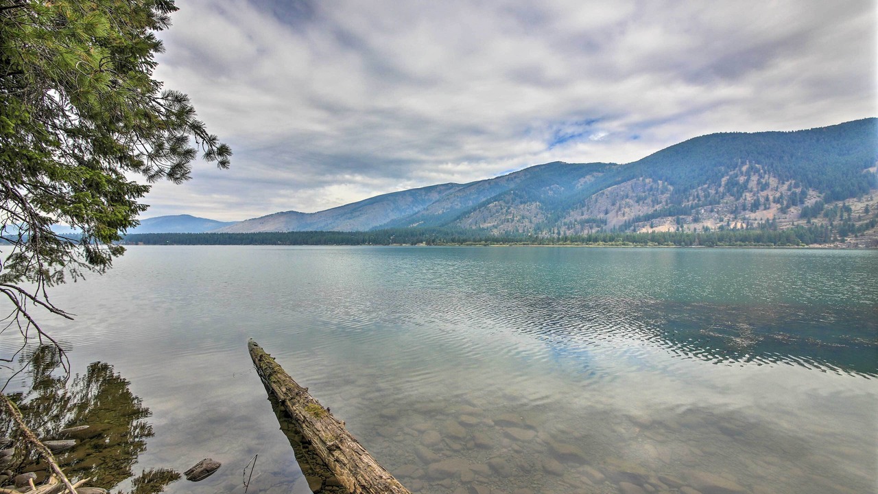 Photo of Others in Trout Creek