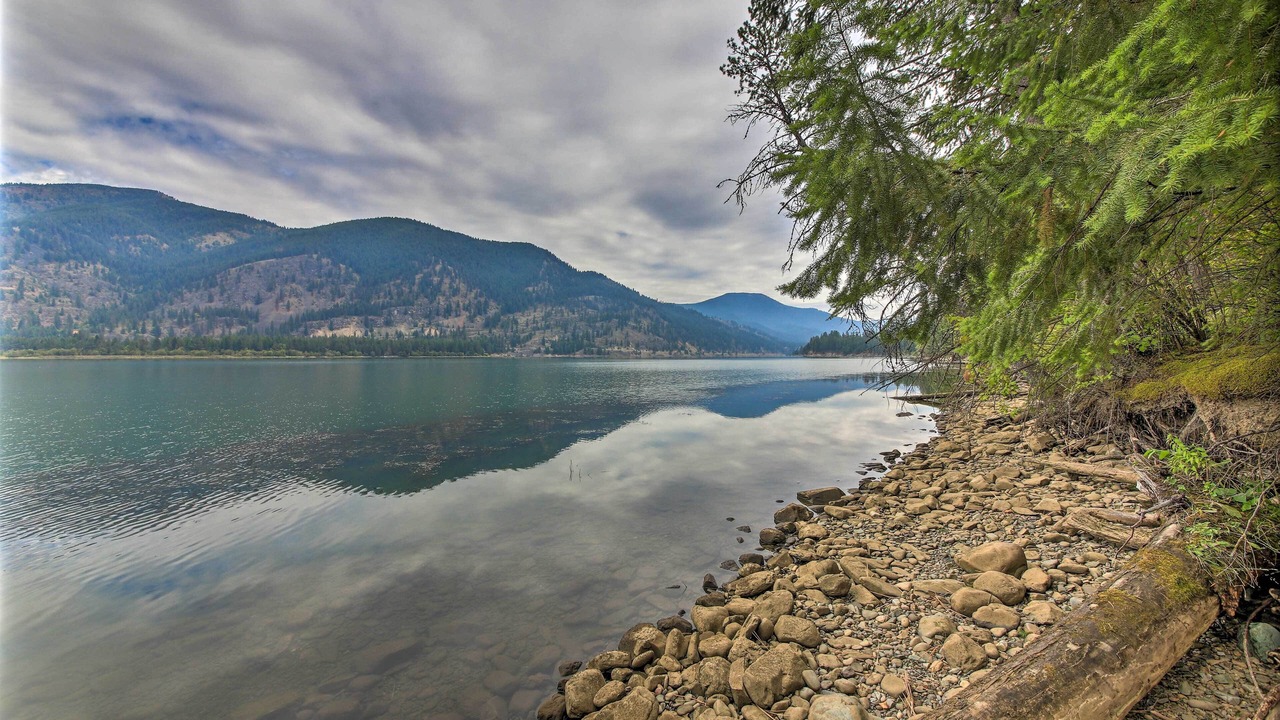 Photo of Others in Trout Creek