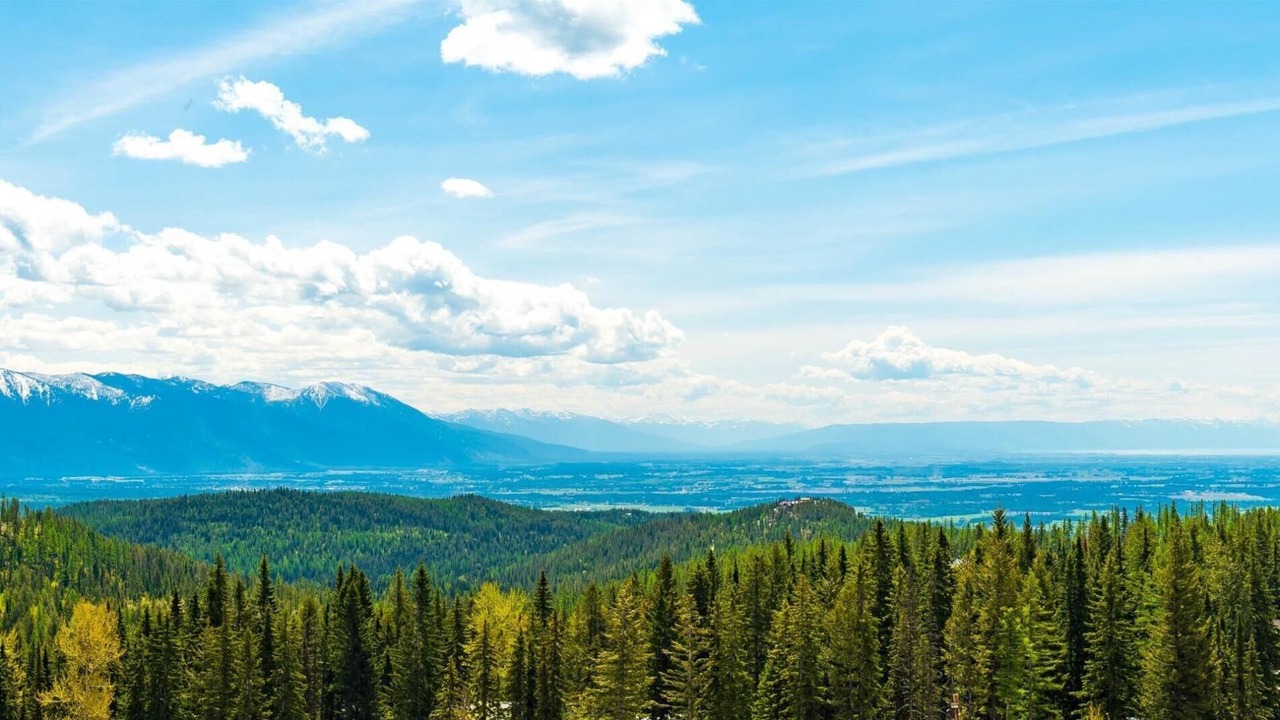 Photo of Others in Whitefish