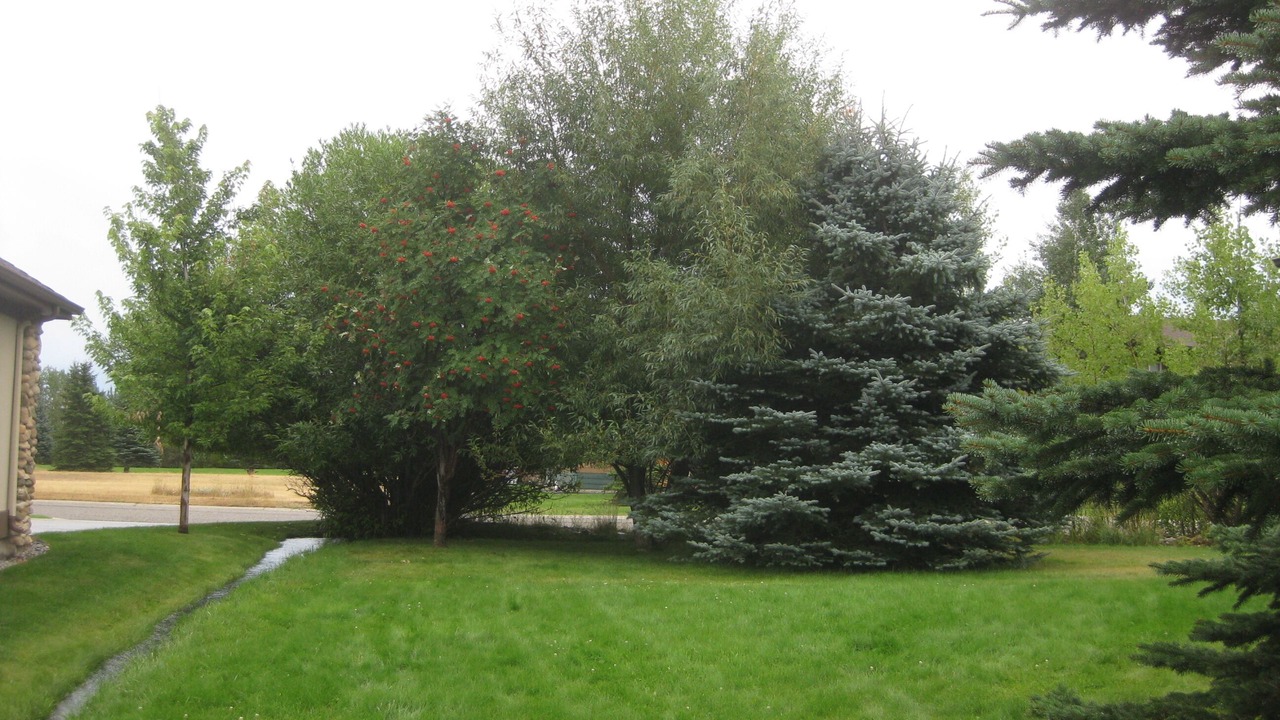 Photo of Outdoor in Red Lodge