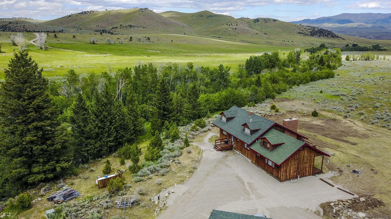 Photo of Outdoor in McAllister