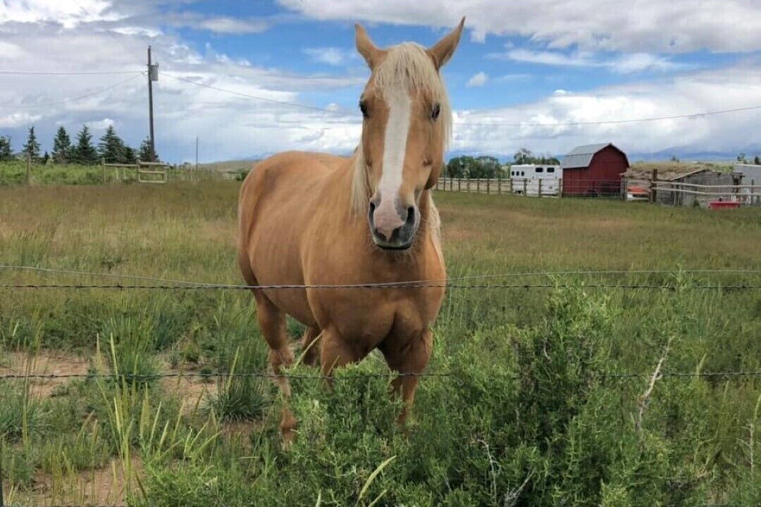 Photo of Others in Dillon