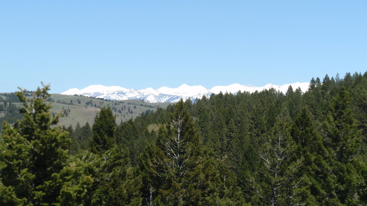 Photo of Others in Bozeman