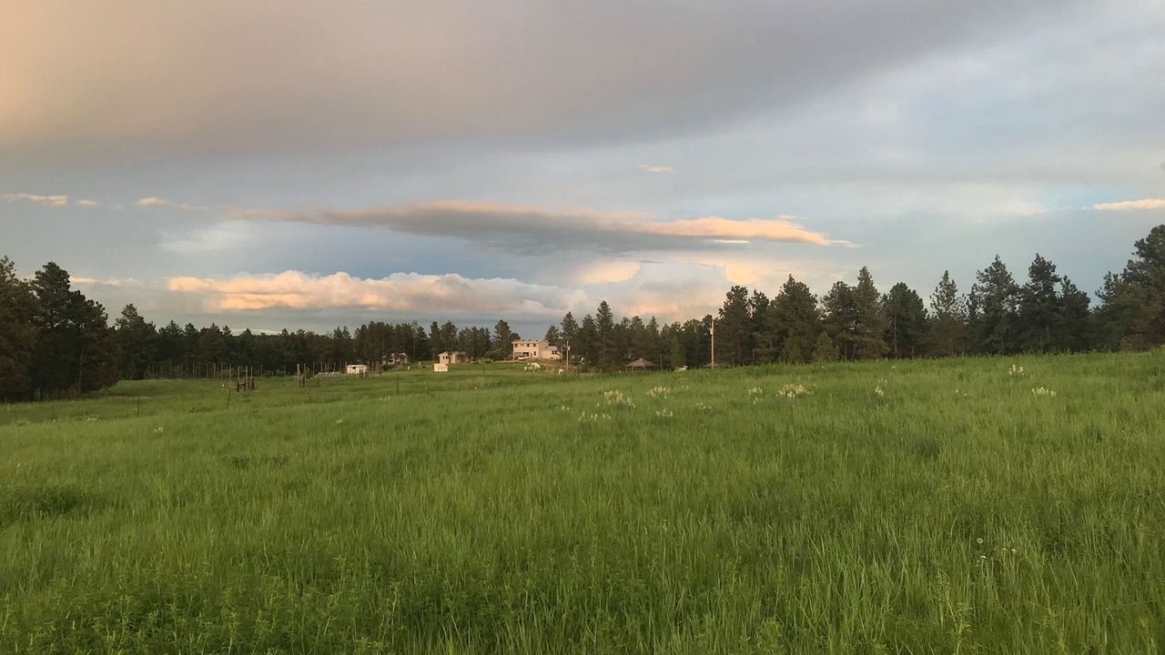 Photo of Others in Musselshell County