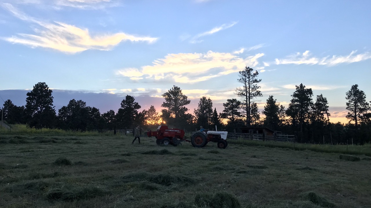 Photo of Outdoor in Musselshell County