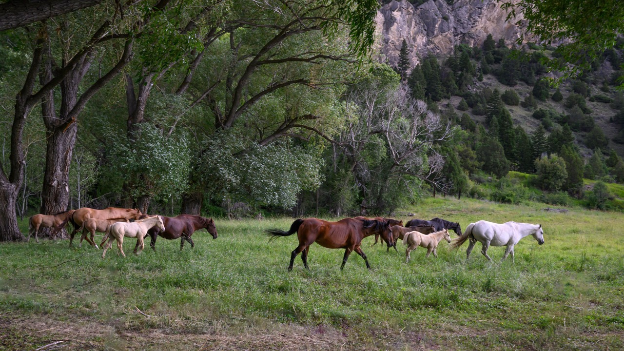 Photo of Others in Livingston