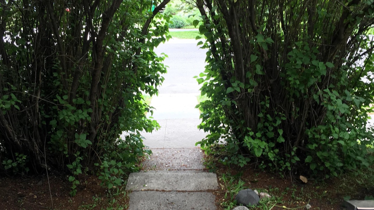 Photo of Outdoor in Bozeman