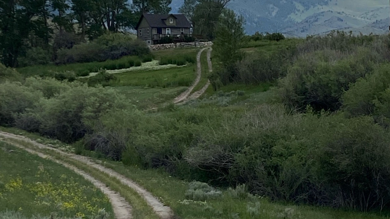Photo of Others in Glen
