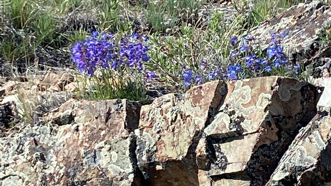 Photo of Others in Glen
